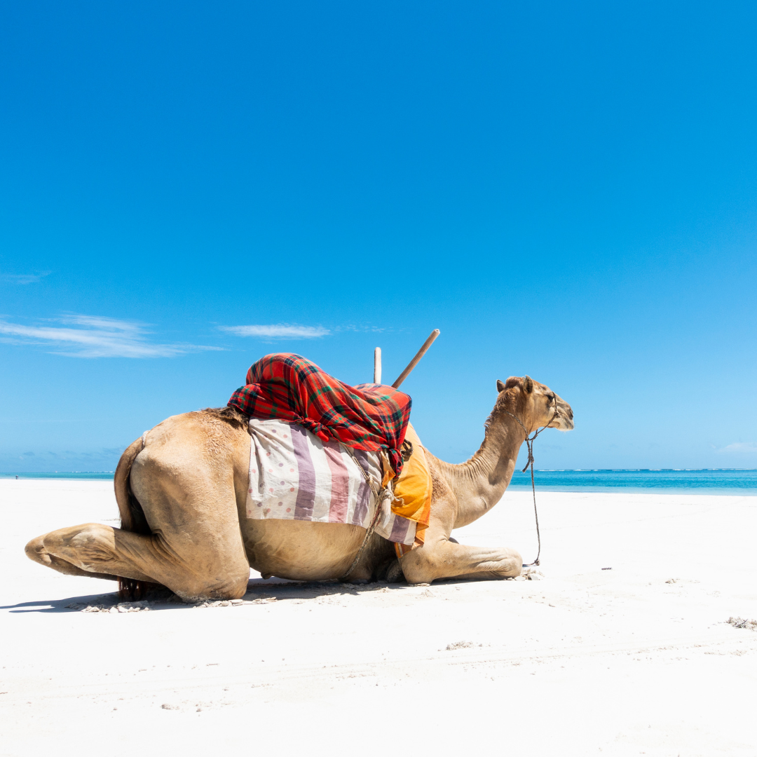 Diani Beach - Kenya