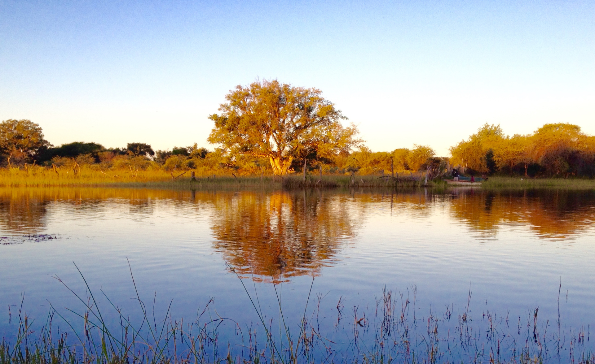 Calm lake reflecting golden autumn trees under a clear blue sky