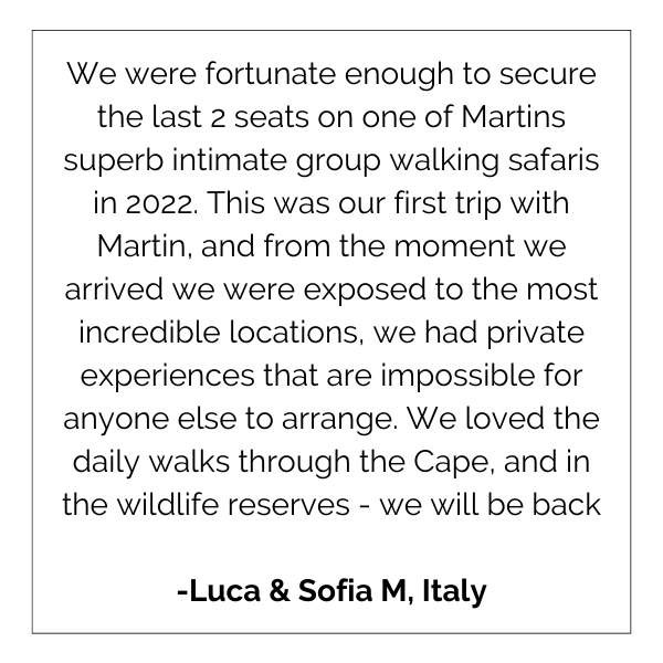 We were fortunate enough to secure the last 2 seats on one of martins superb intimate group walking safaris in 2022.