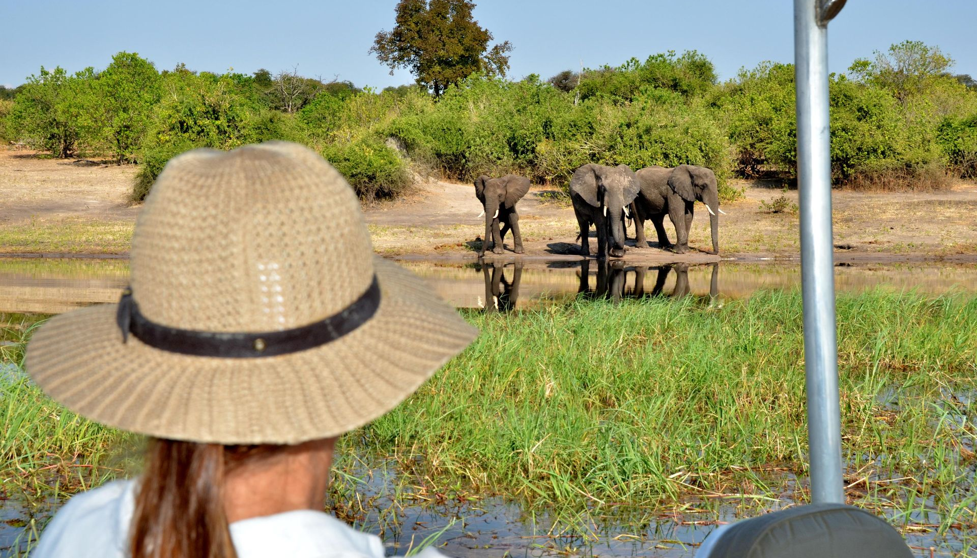 A woman on a privately guided safari overlooks a herd of elephants from a boat in Botswana
