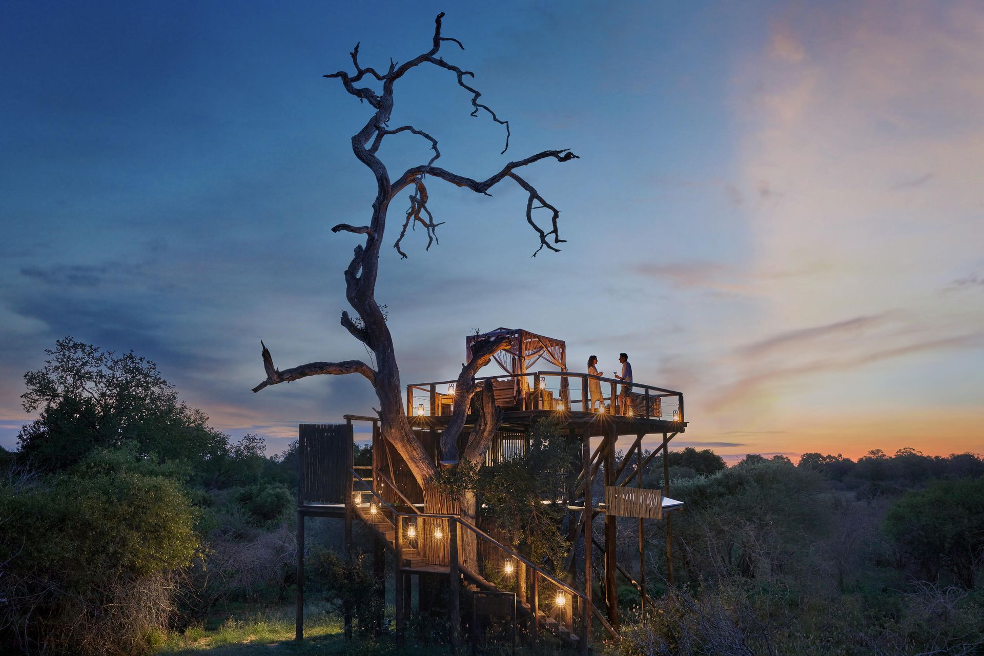 Treehouse at dusk, lit by string lights, platform with people, set in a savanna.