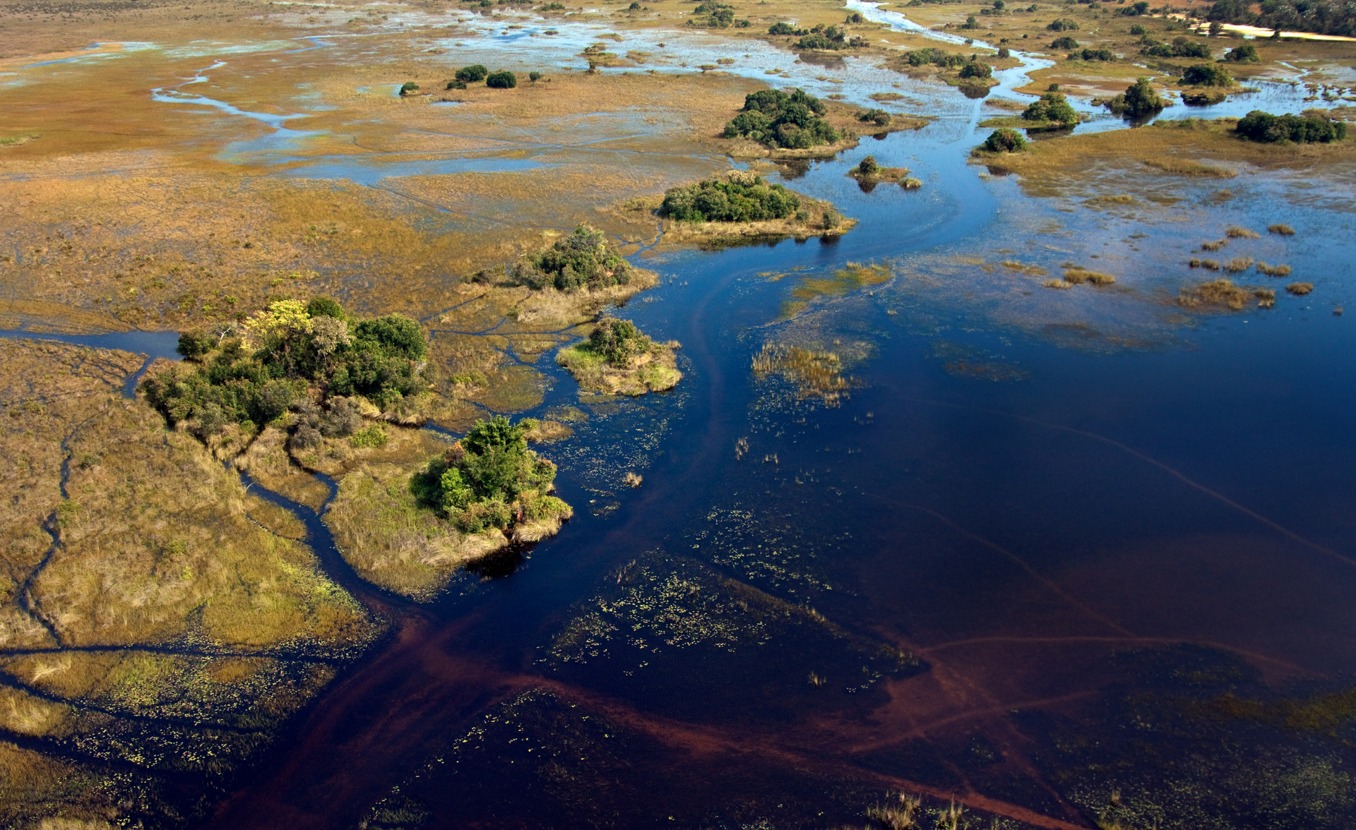 Aerial view of a winding dark-blue river through wetlands with golden-brown marsh and green vegetation