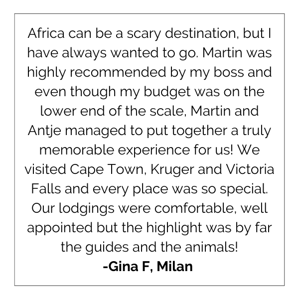 Martin Meyer Safaris Testimonials