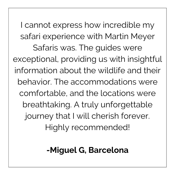 I cannot express how incredible my safari experience with martin meyer safaris was.
