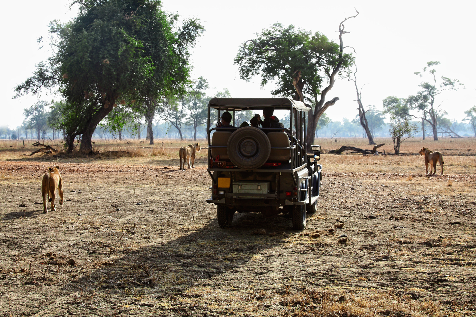 Zambian Safari Kafue