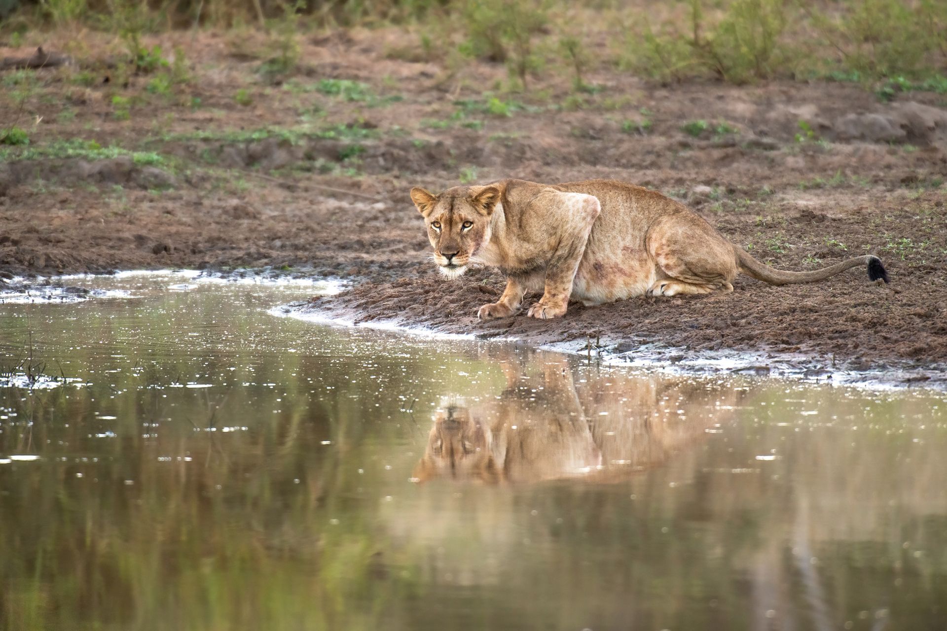 Abelana Safari Camp
