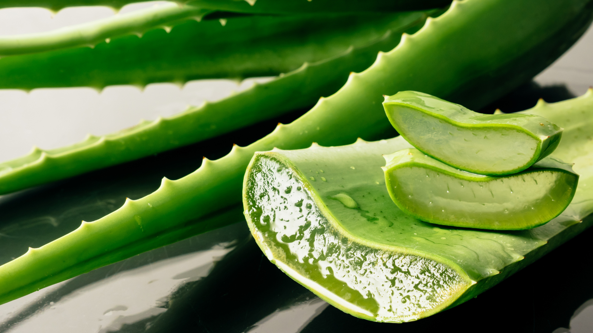 A close up of a sliced aloe vera plant on a table.
