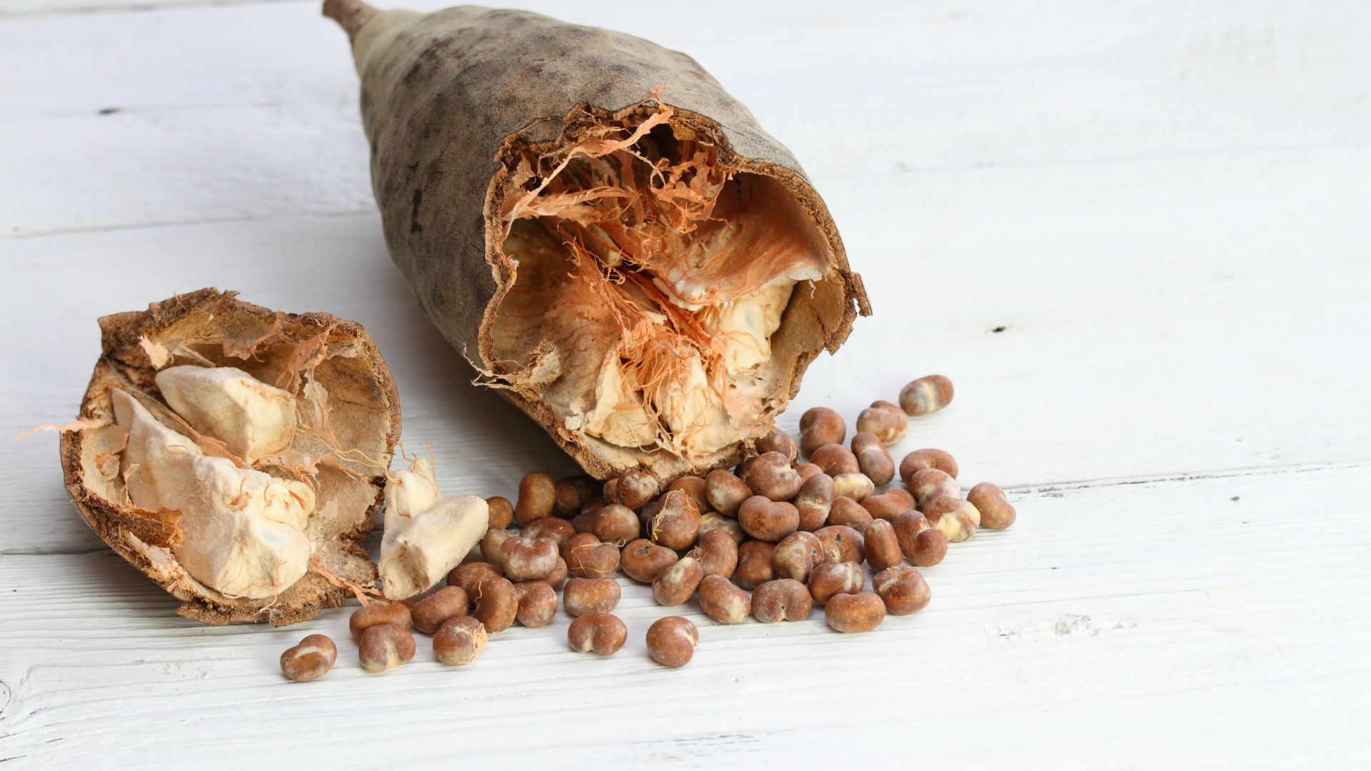 Baobab Seed Pod