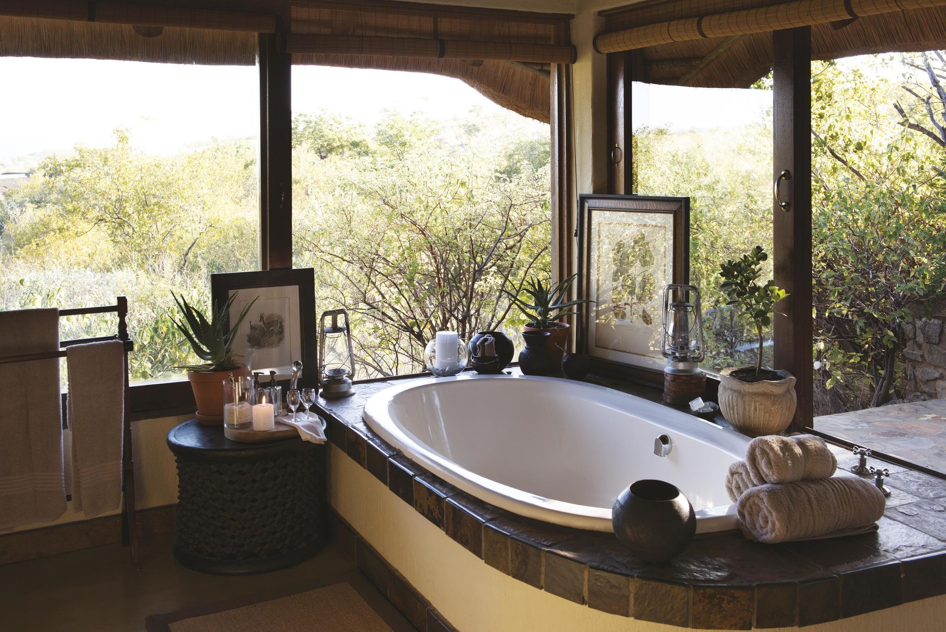 Solo Safari in South Africa Lodge