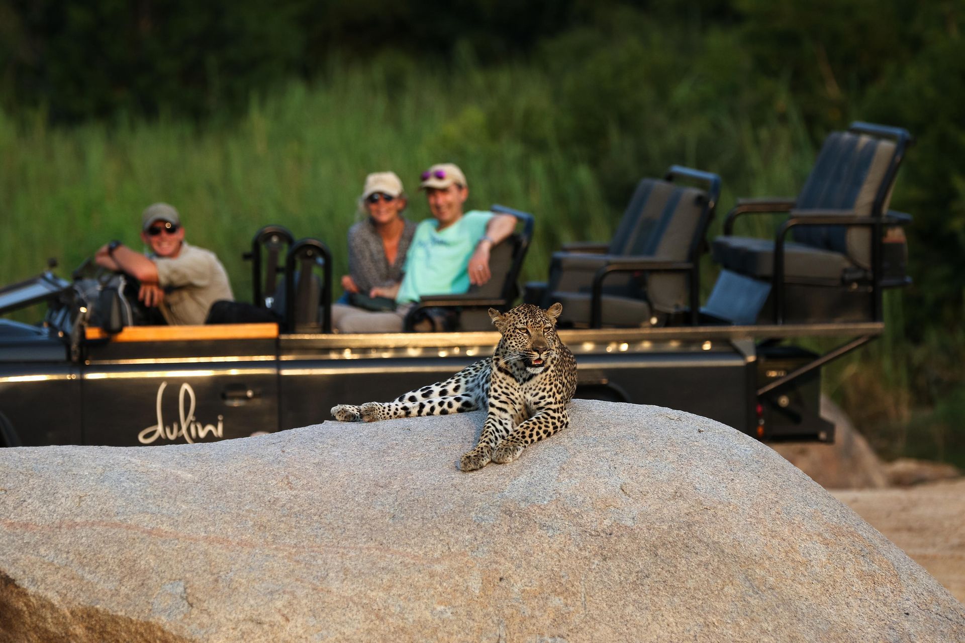 Game Drives at Dulini Moya
