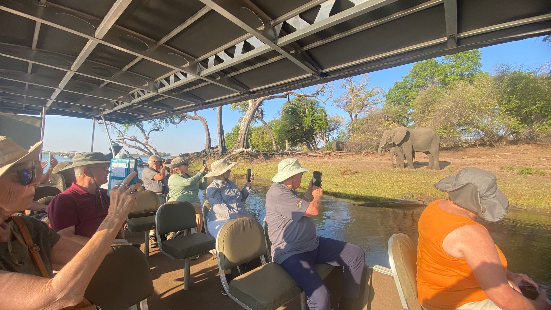 Passengers in open-air safari vehicle watching wildlife on a sunny savanna drive