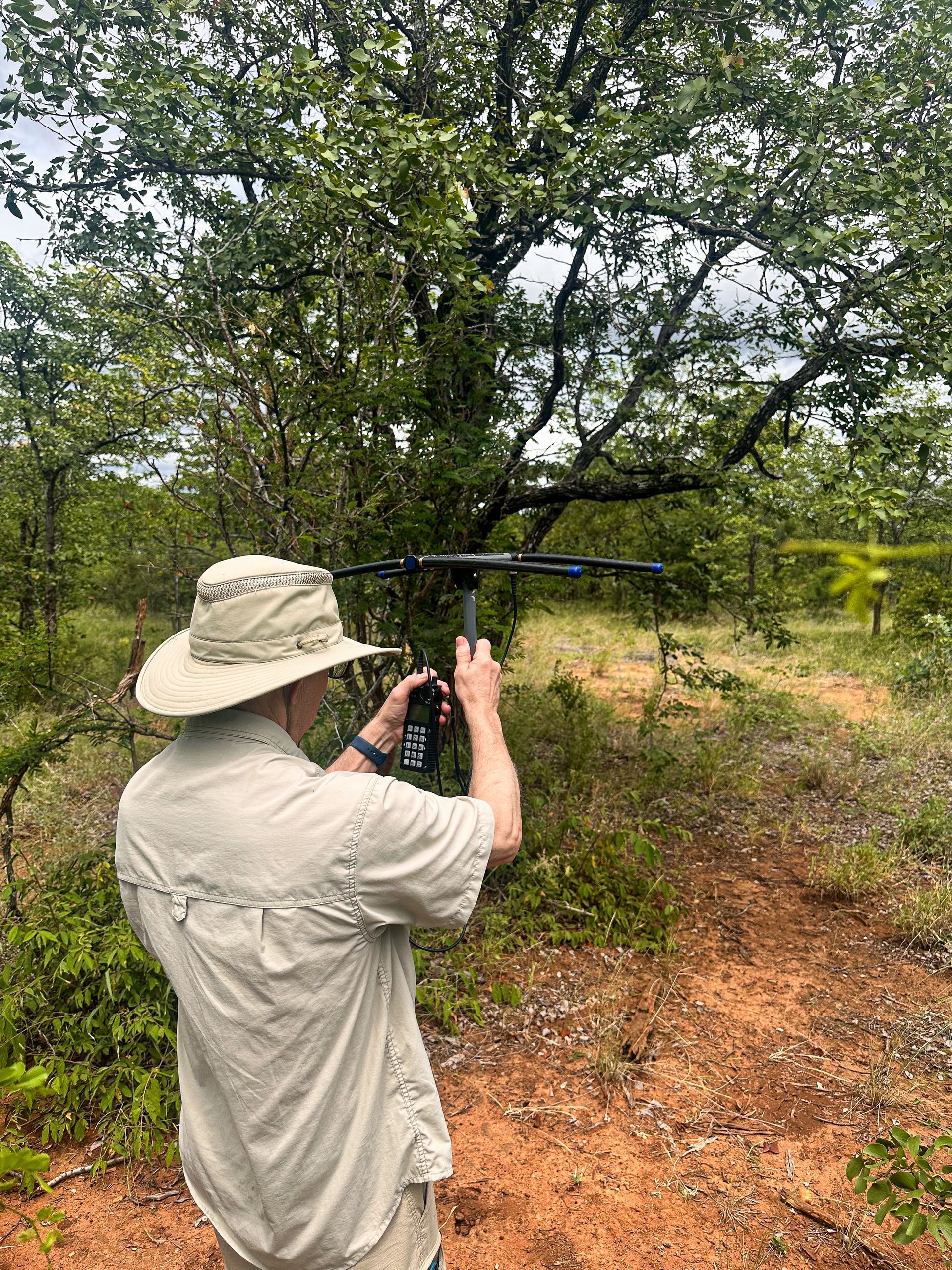 Man in safari attire using a device, likely a drone, near a tree in a natural, outdoor setting.