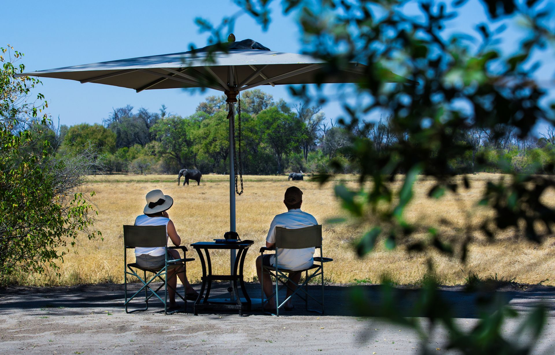 Two people under an umbrella sit in chairs, overlooking a field with animals in the distance.