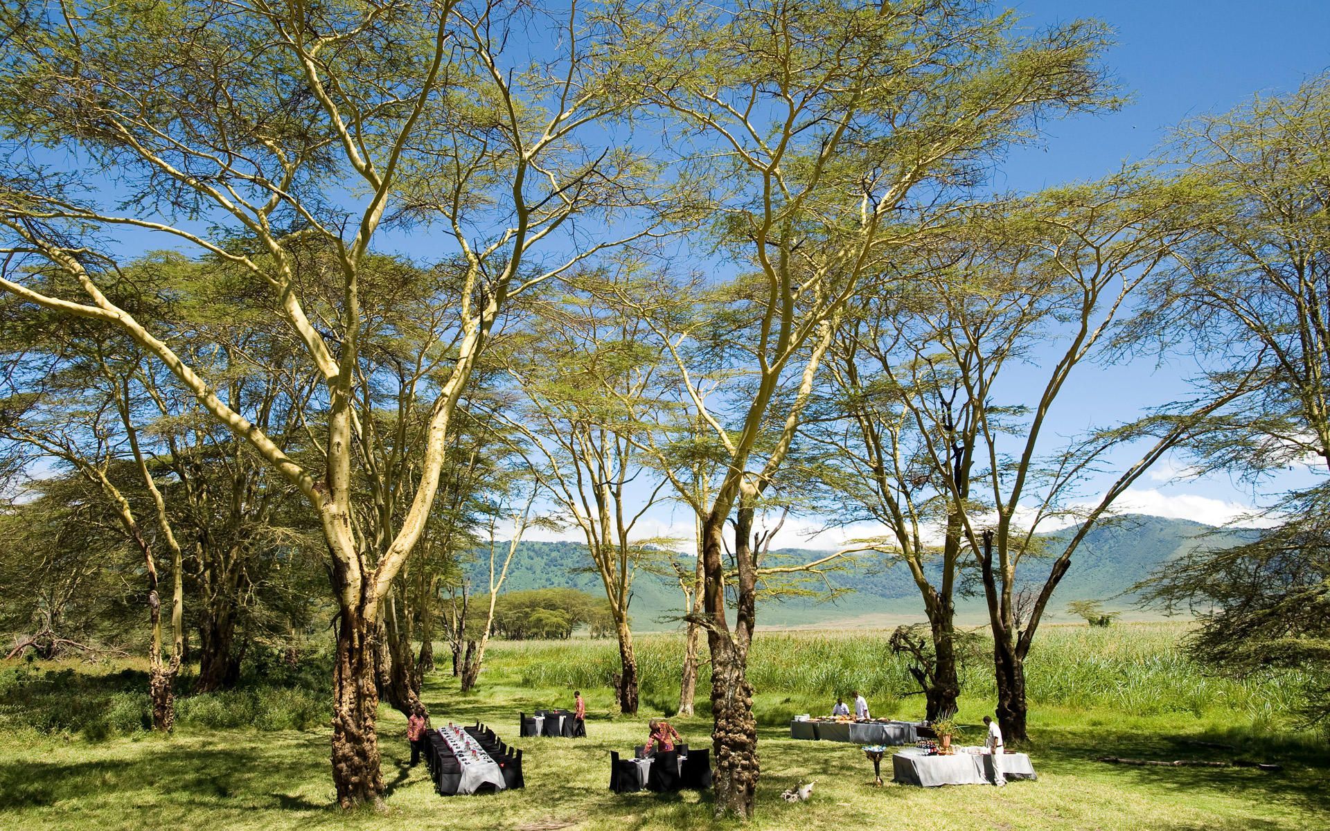 andBeyond Ngorongoro Crater Lodge