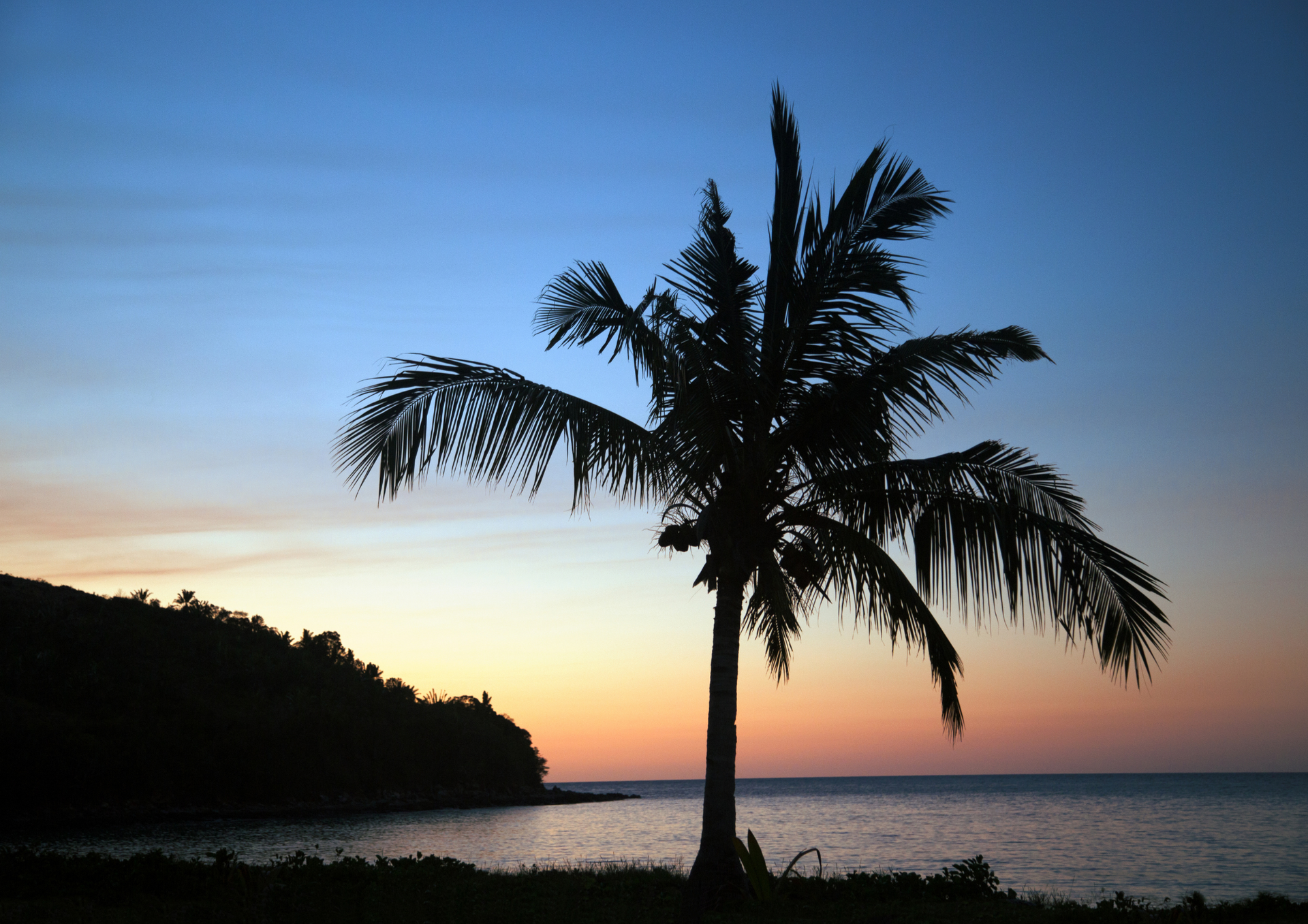 A palm tree is silhouetted against a sunset over the ocean