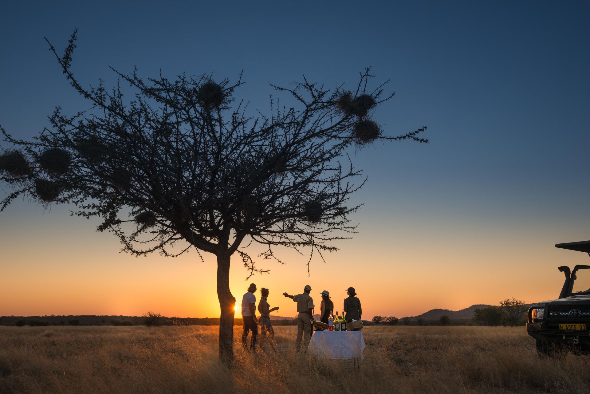 Luxury African Safaris