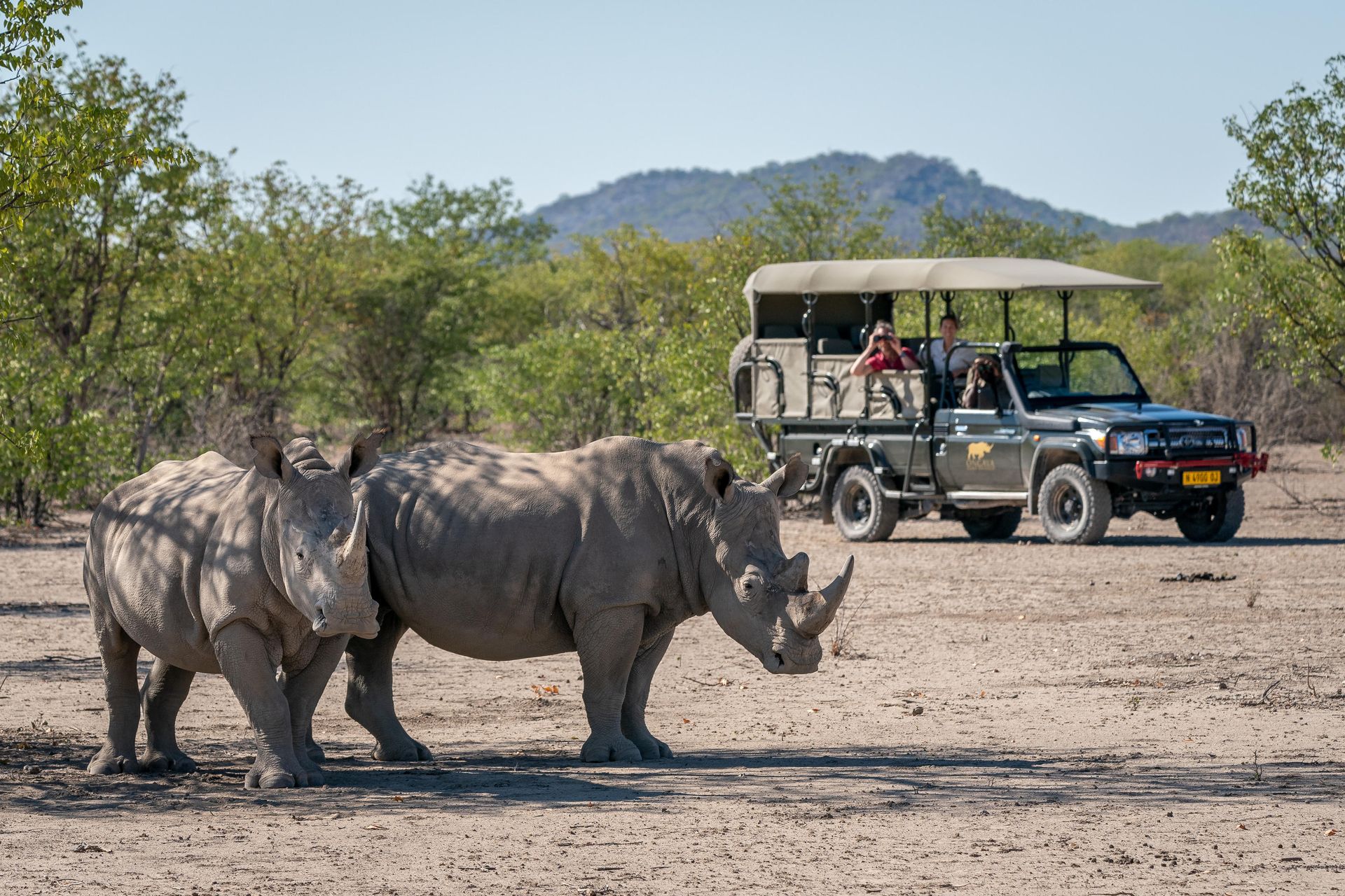 Luxury African Safaris