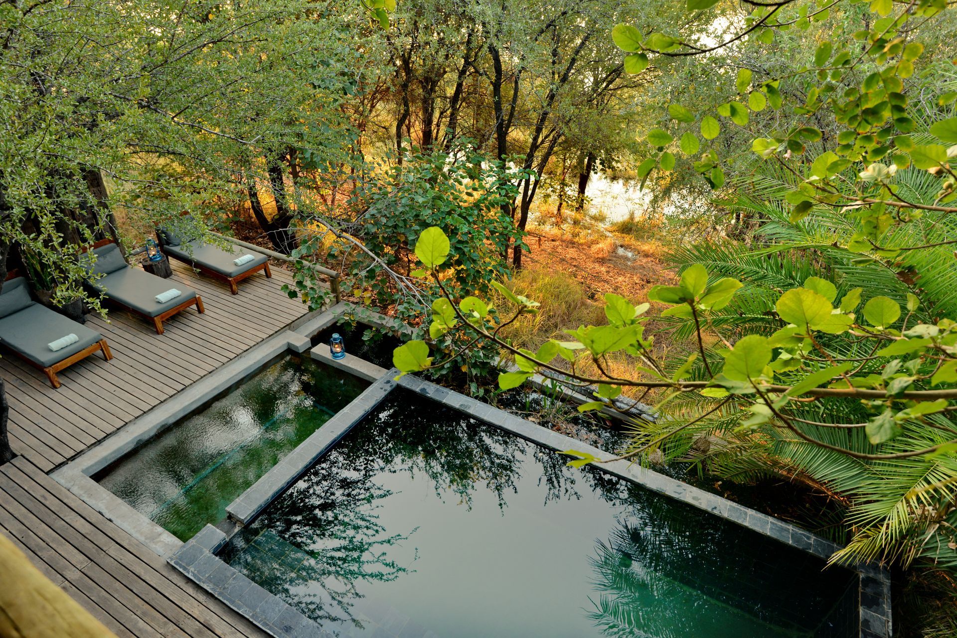 A large swimming pool is surrounded by trees and a wooden deck.