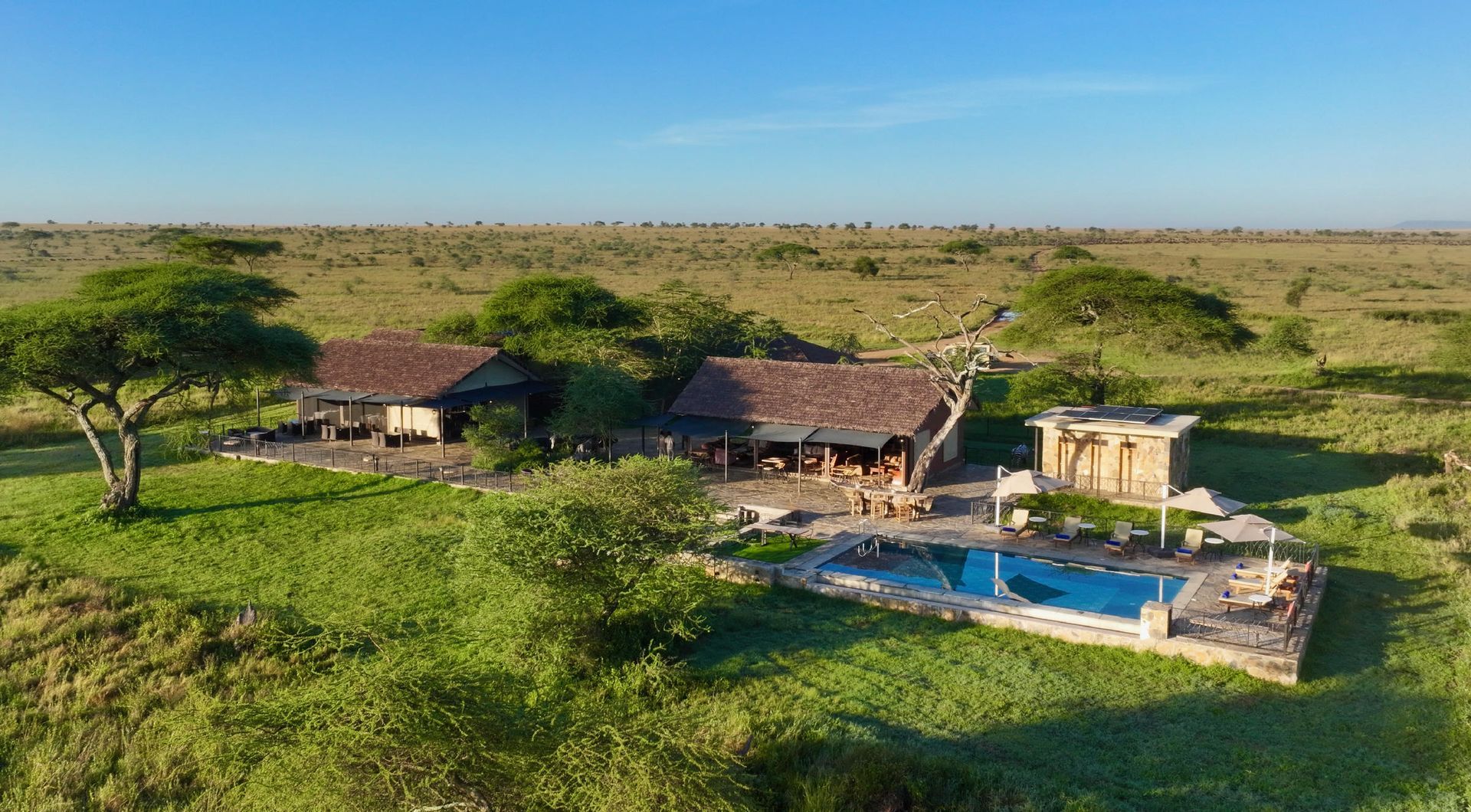 Rural lodge with thatched roofs and a blue pool amid green savanna under a clear sky