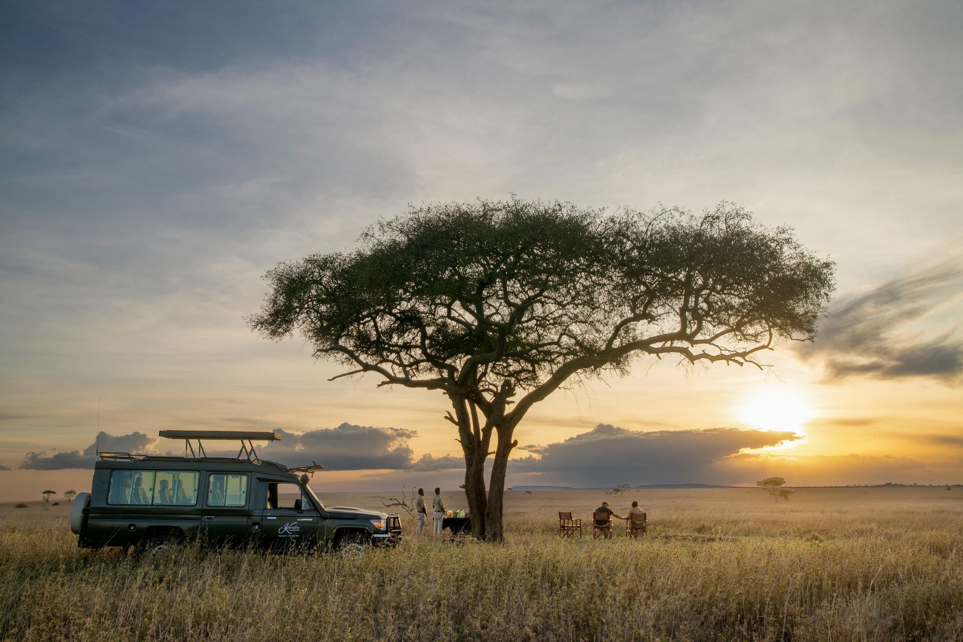 Safari vehicle beside an acacia tree at sunrise on a grassy plain with mist and distant wildlife