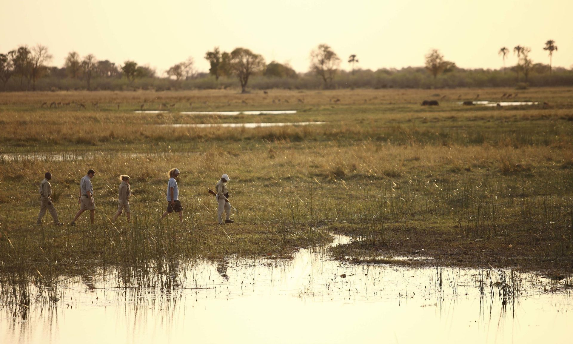 andBeyond Sandibe Okavango Safari Lodge