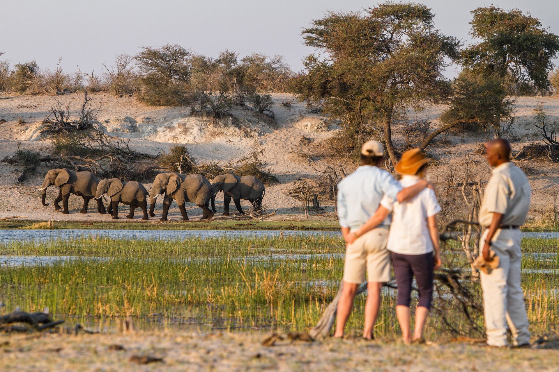 Three tourists watching elephants by a waterhole at sunset in a savanna landscape
