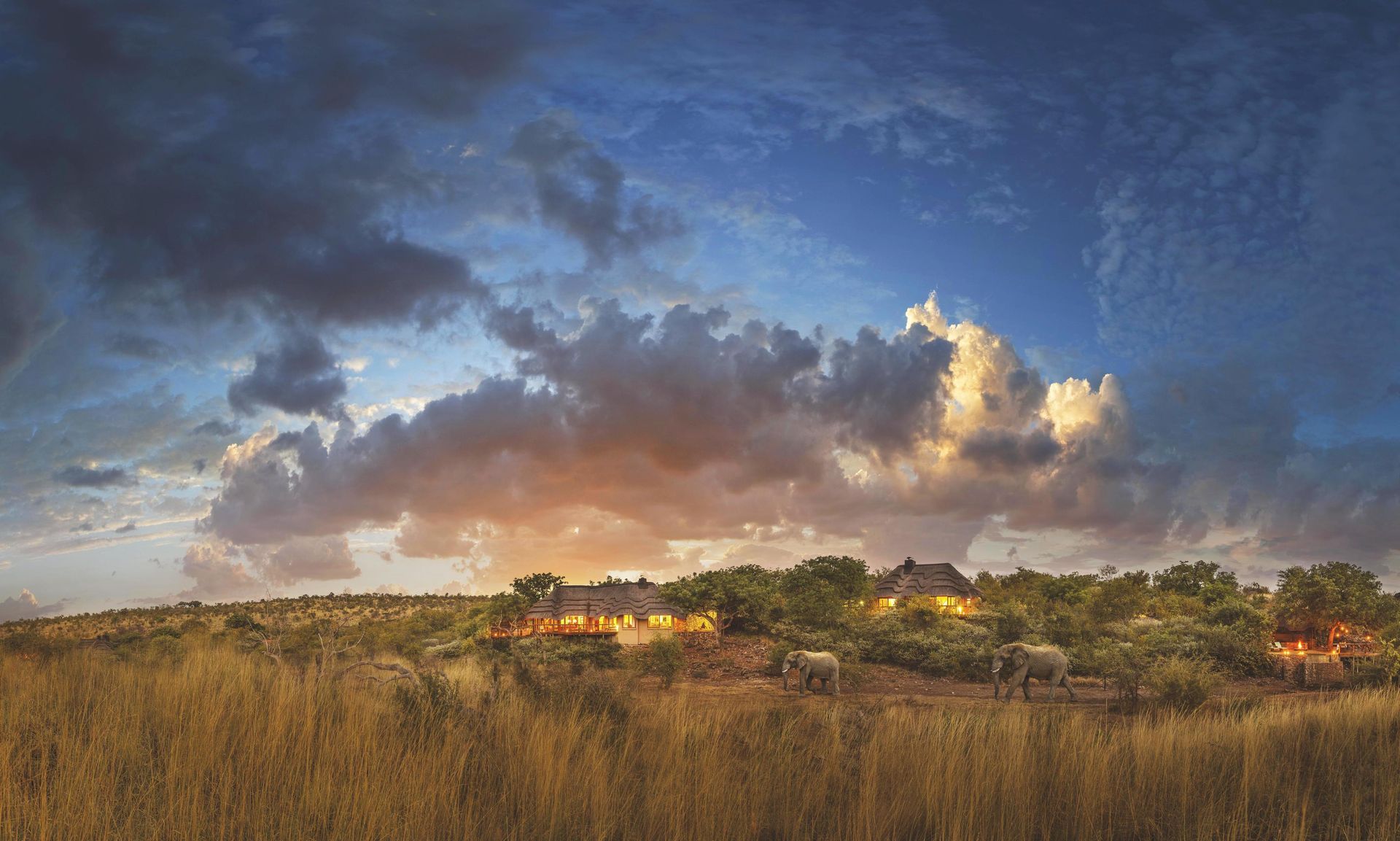 Tuningi Safari Lodge