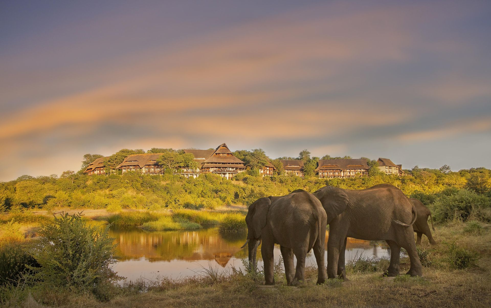 Two elephants near a lake, with a lodge on a hilltop under a sunset sky.