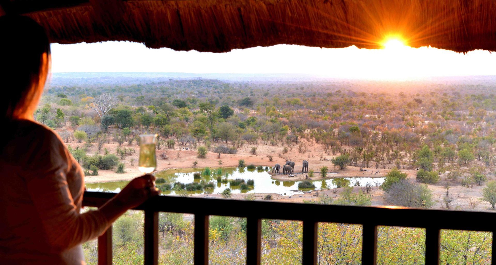 Woman on balcony viewing African savanna at sunset.
