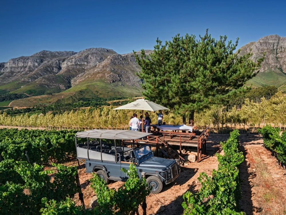 A jeep is parked in a vineyard with mountains in the background.