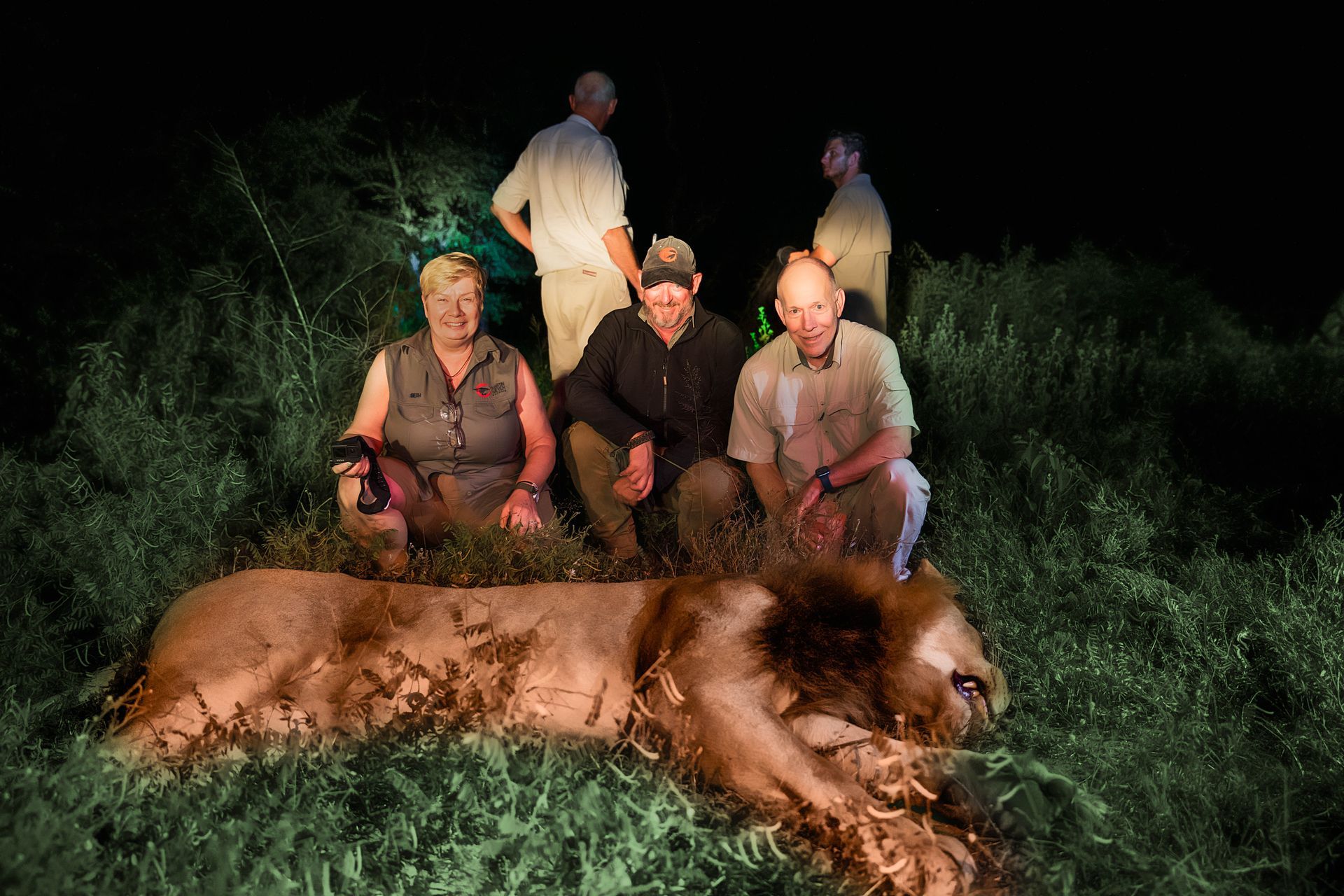 Men posing with a dead lion in tall grass at night. They are lit by spotlights.