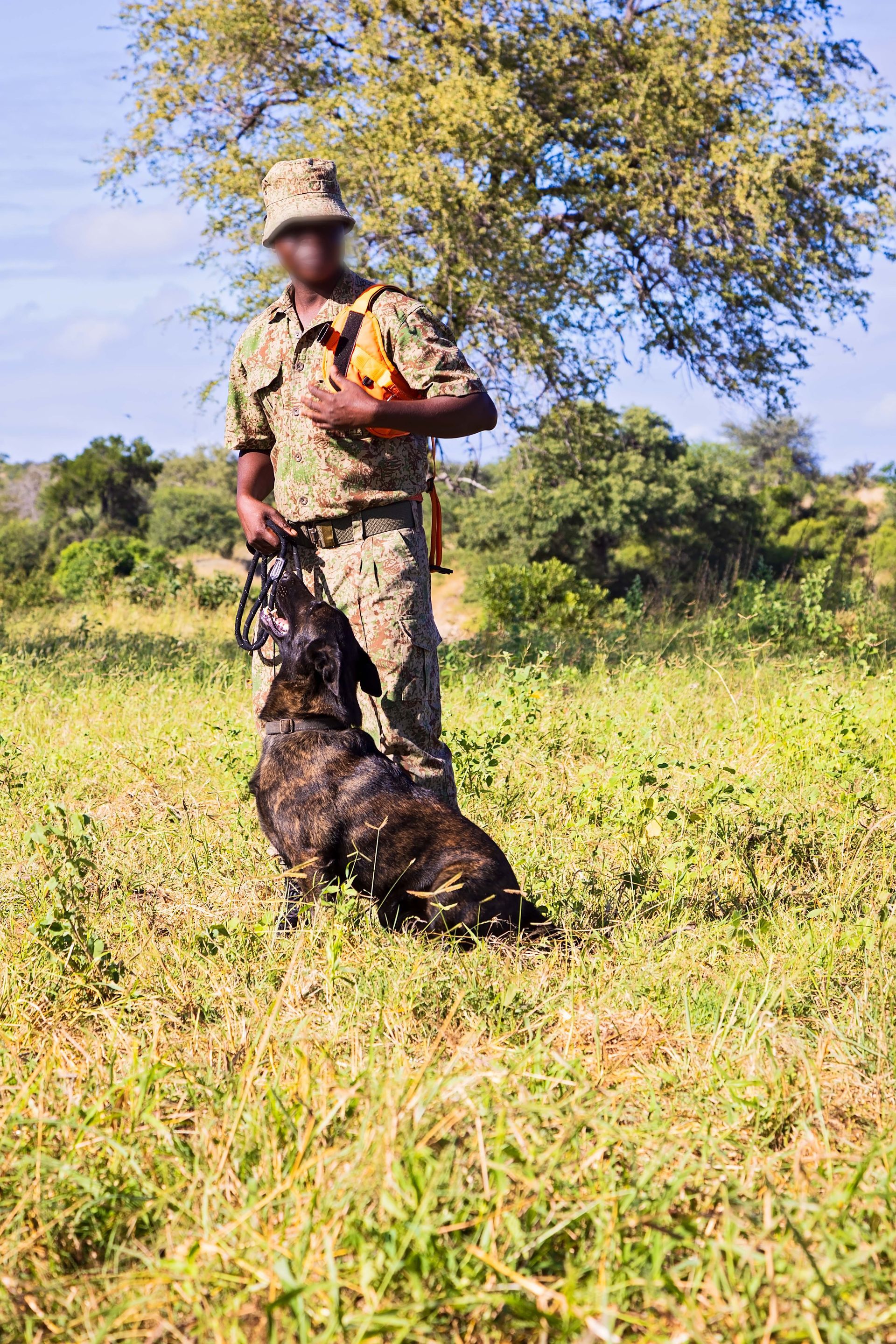 Person in camouflage holding a bird, standing with a dog in a grassy field under a sunny sky.