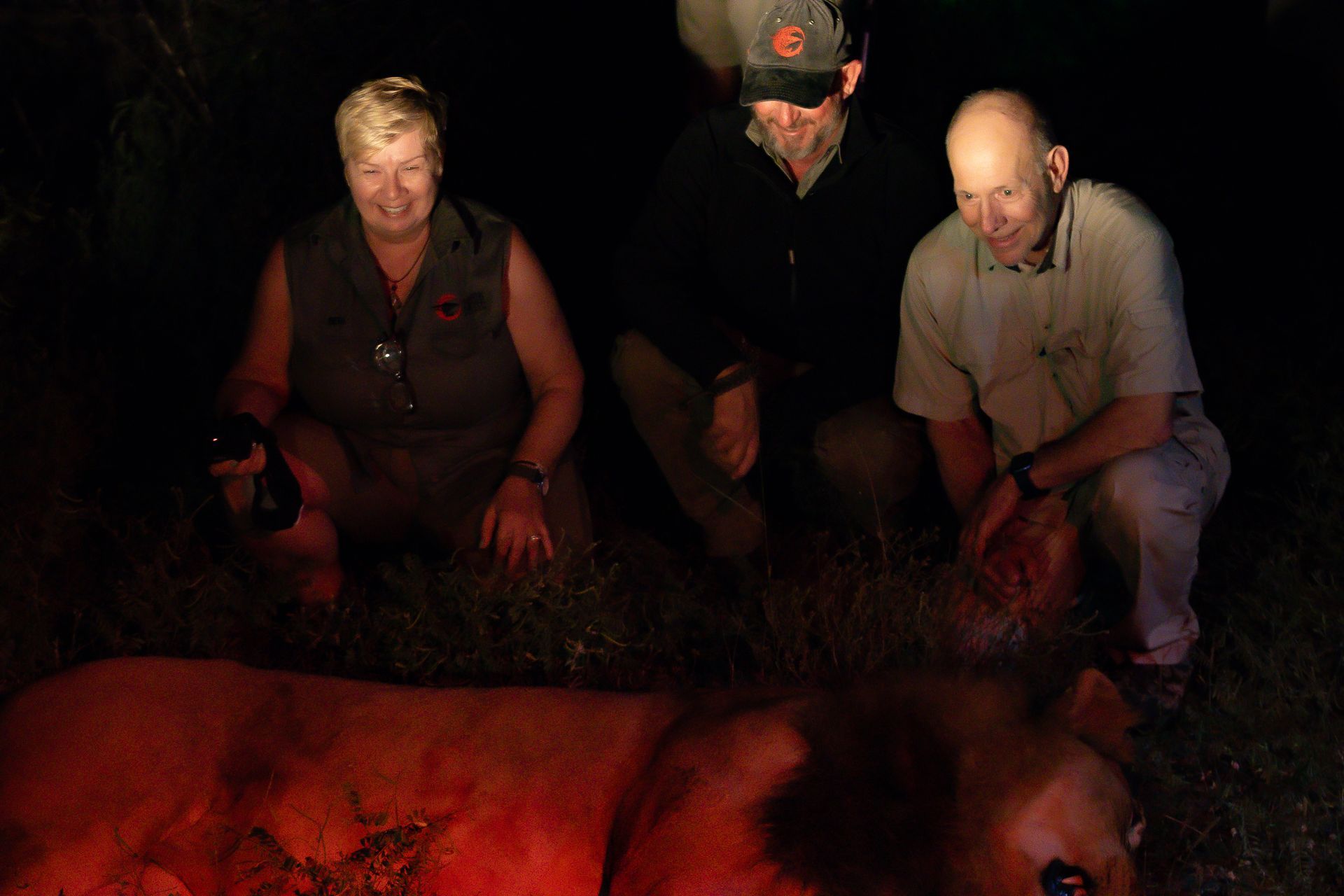 Three people crouched near a lion illuminated by a fire at night.