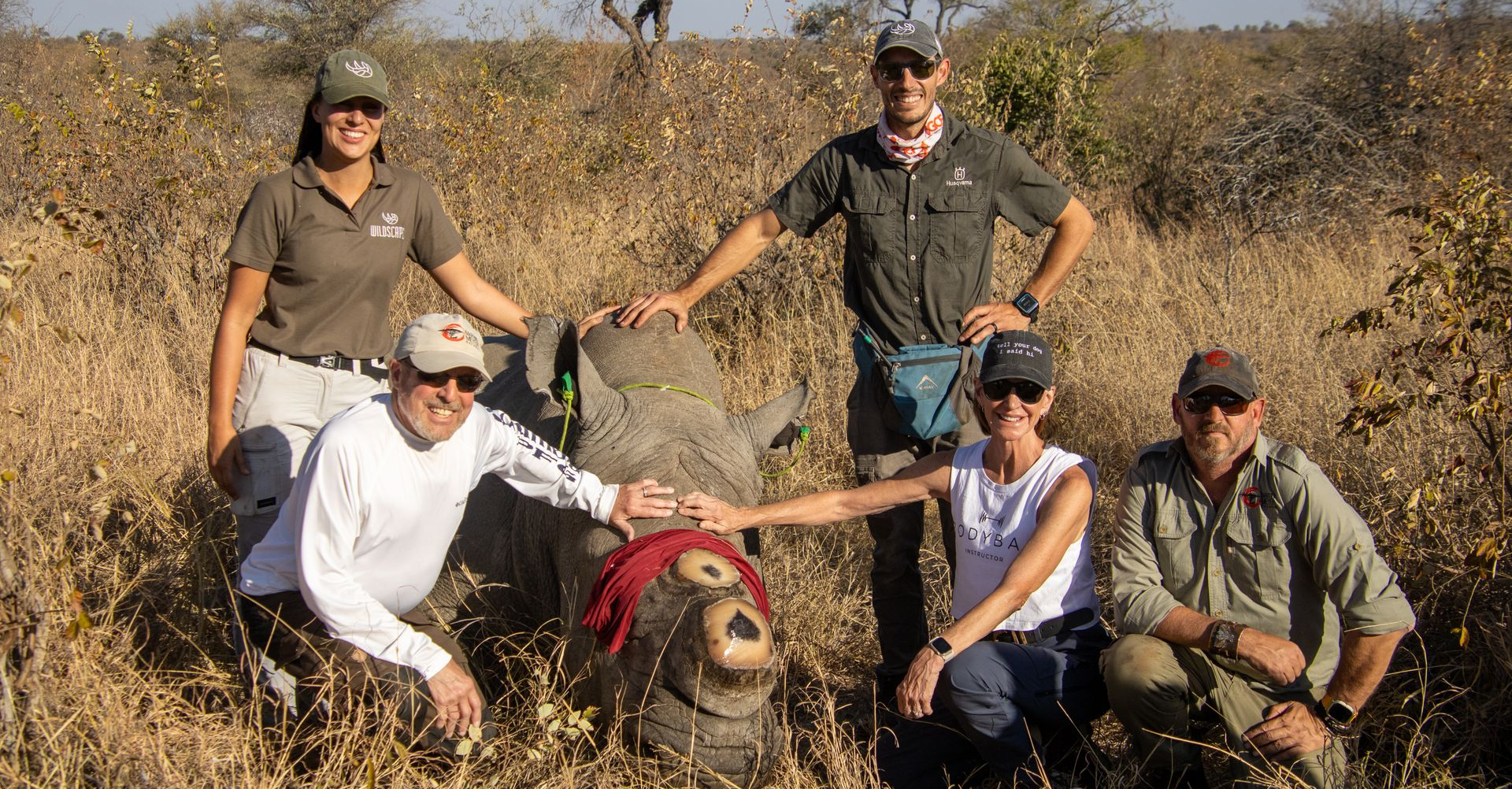 Group poses with a sedated rhino in tall grass, possibly after a medical procedure; sunny outdoor setting.
