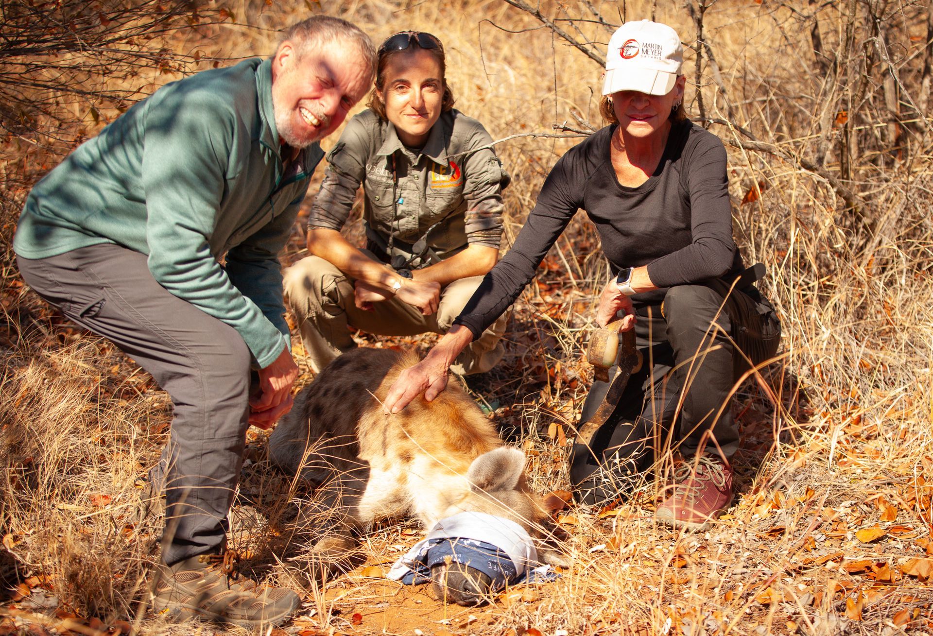 Cheetah resting on a grassy mound, safari vehicle with tourists in background.