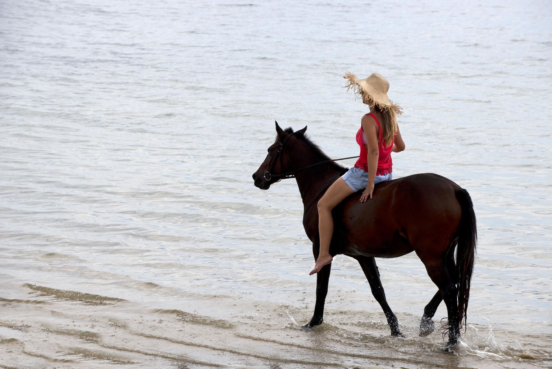 Woman riding a brown horse in shallow water, wearing a hat and red top.