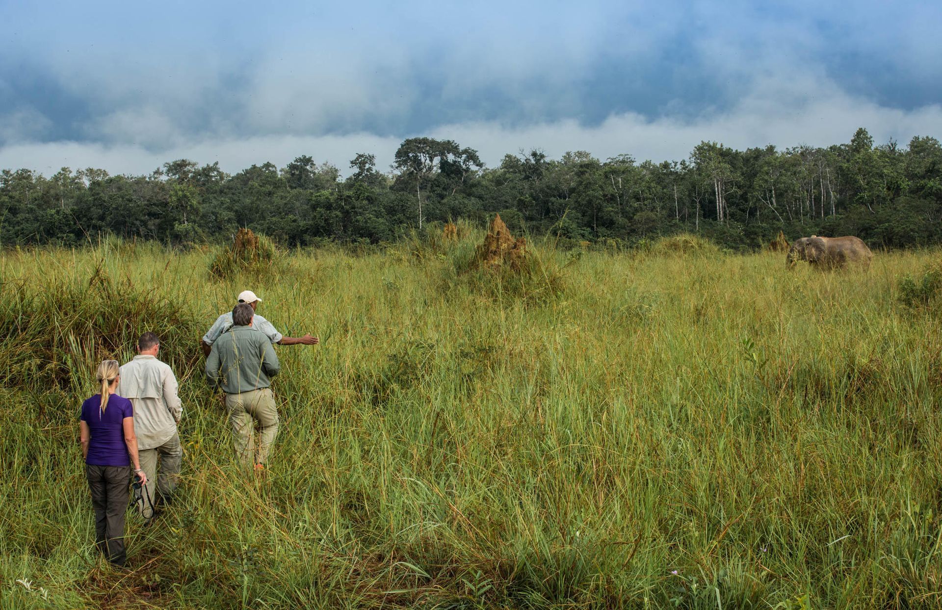 A group of people are walking through the Rebublic of Congo