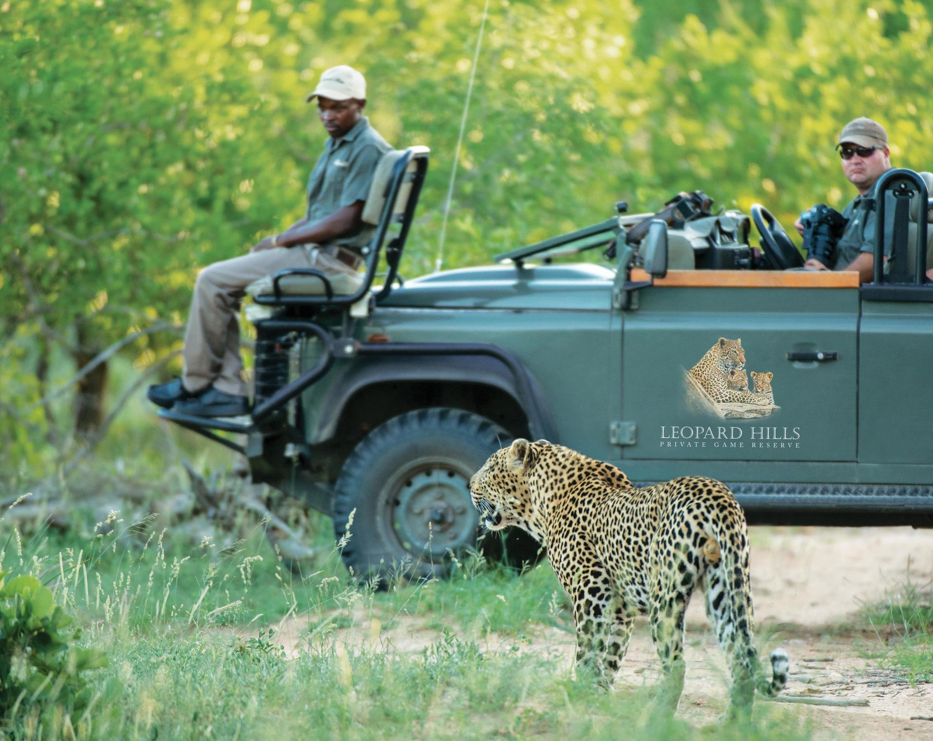 Leopard Hills Game Reserve