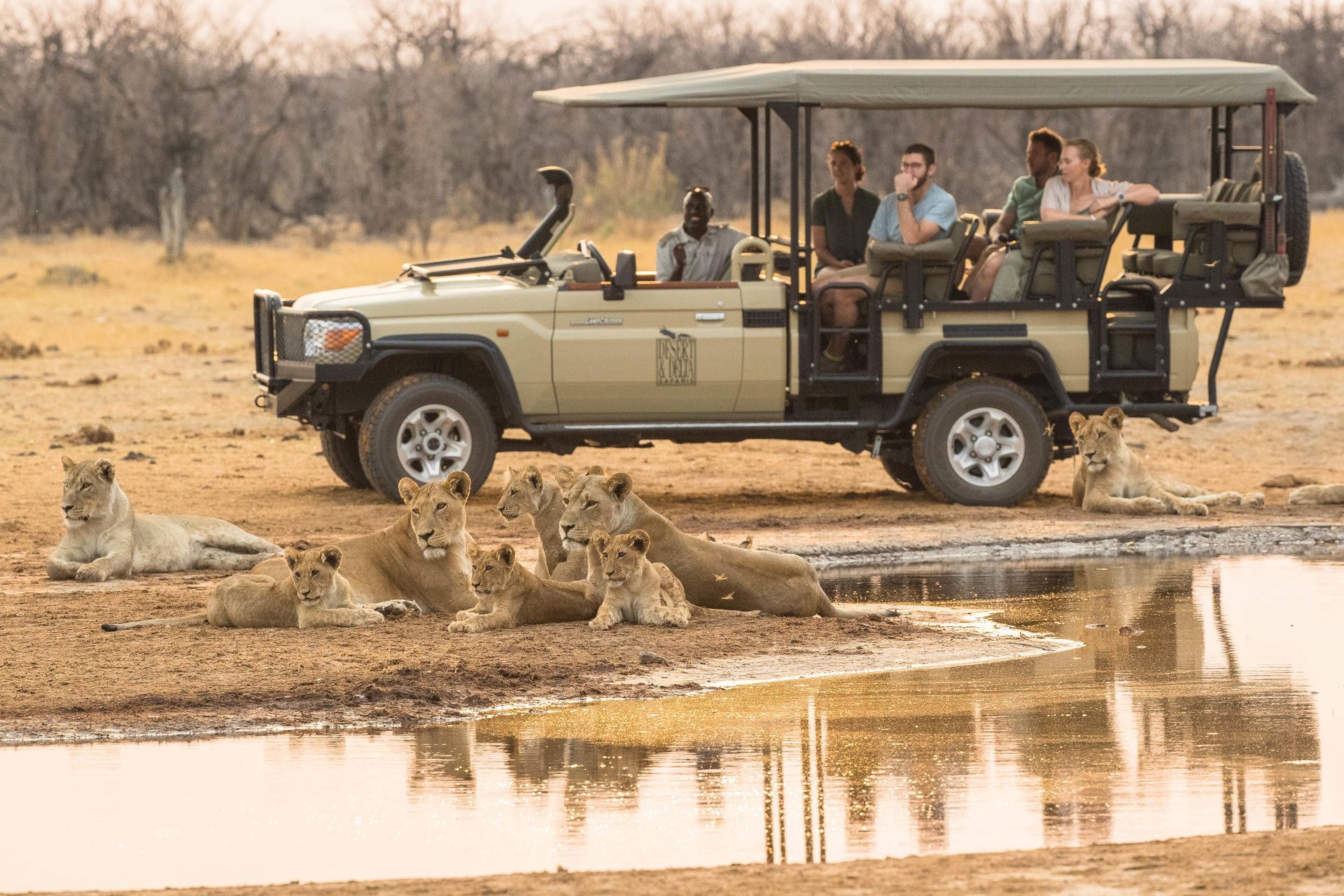 Safari jeep with tourists watching lions at a muddy waterhole in dry grassland.