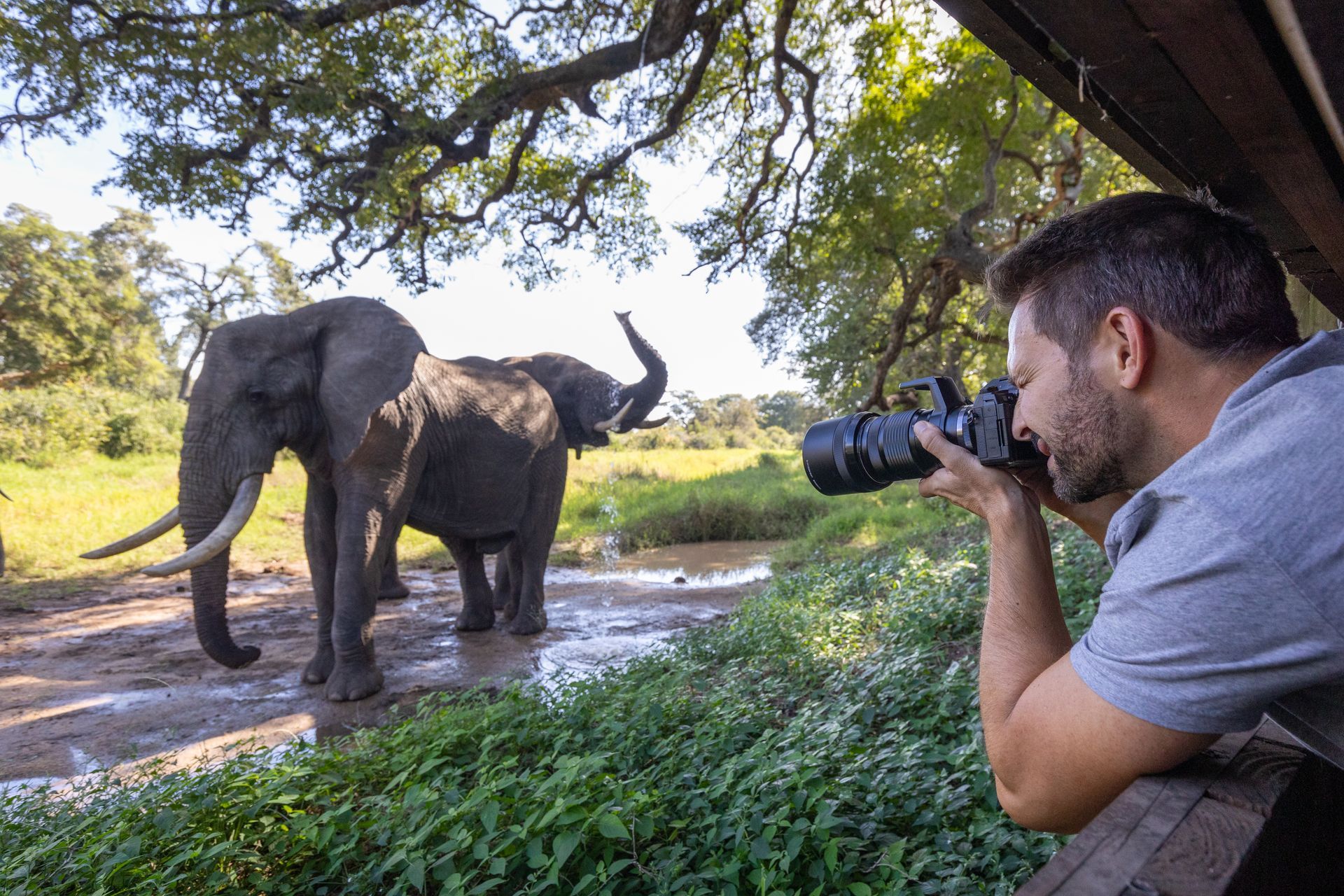 Man photographs elephant near water; outdoors, sunny.