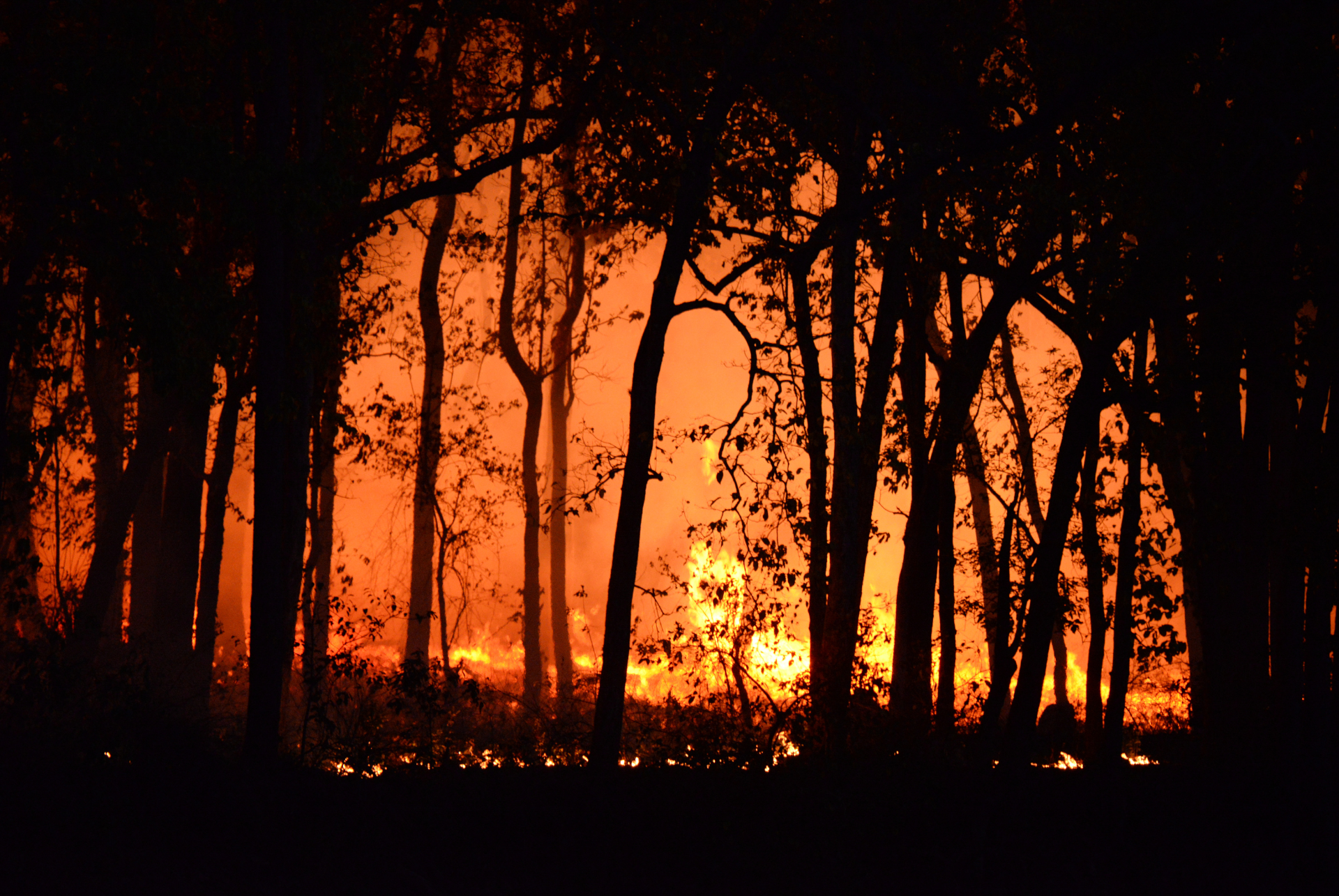 Eaton Fire