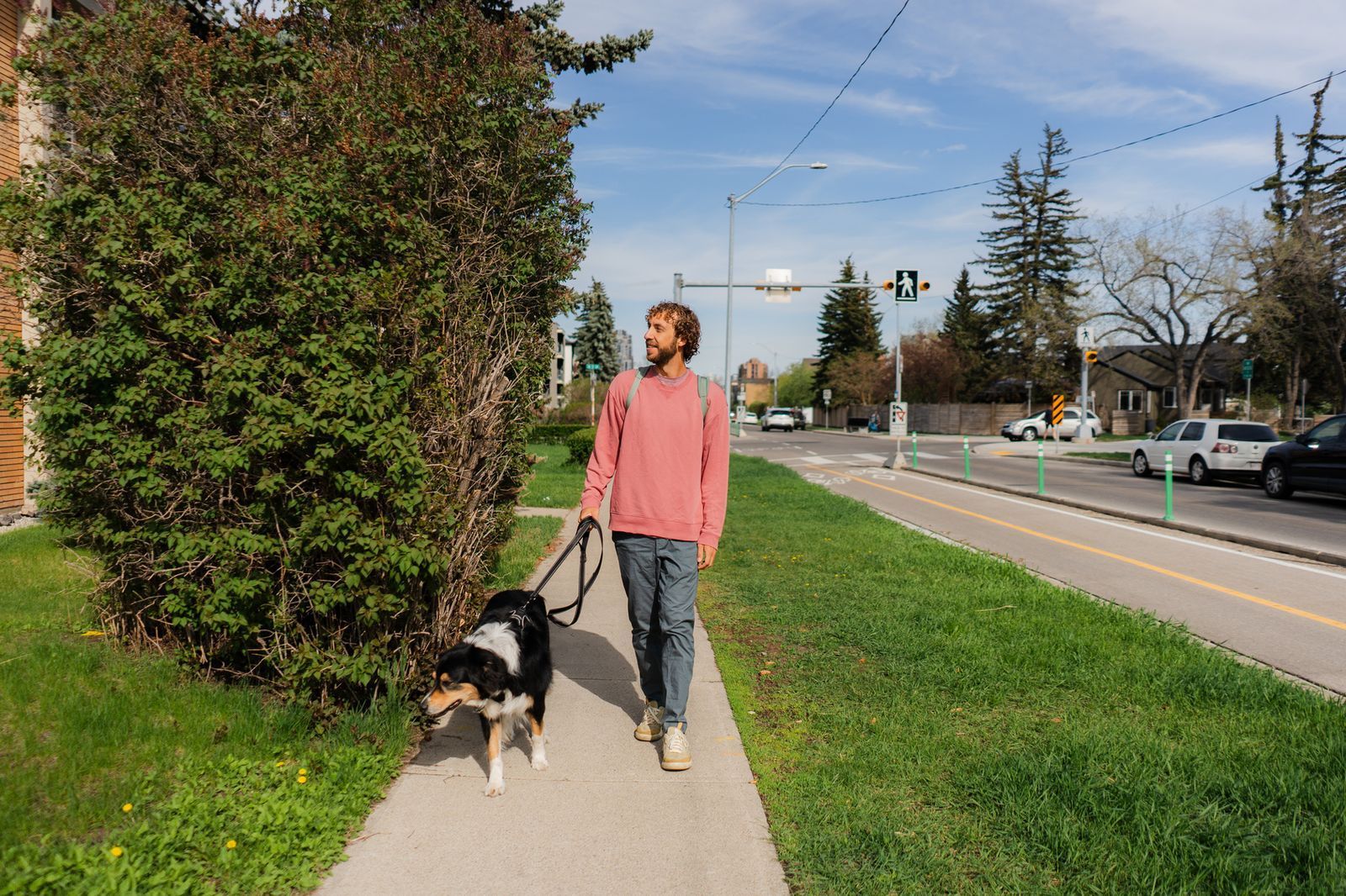 Leashed dog on a sidewalk representing a dog bite claim with an injury lawyer near Agoura Hills CA