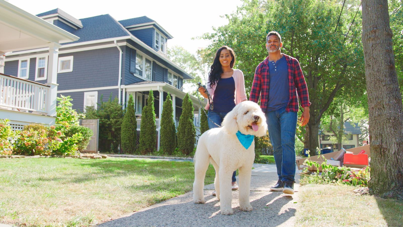 Leashed dog on a sidewalk, a dog bite claim with a Thousand Oaks injury attorney