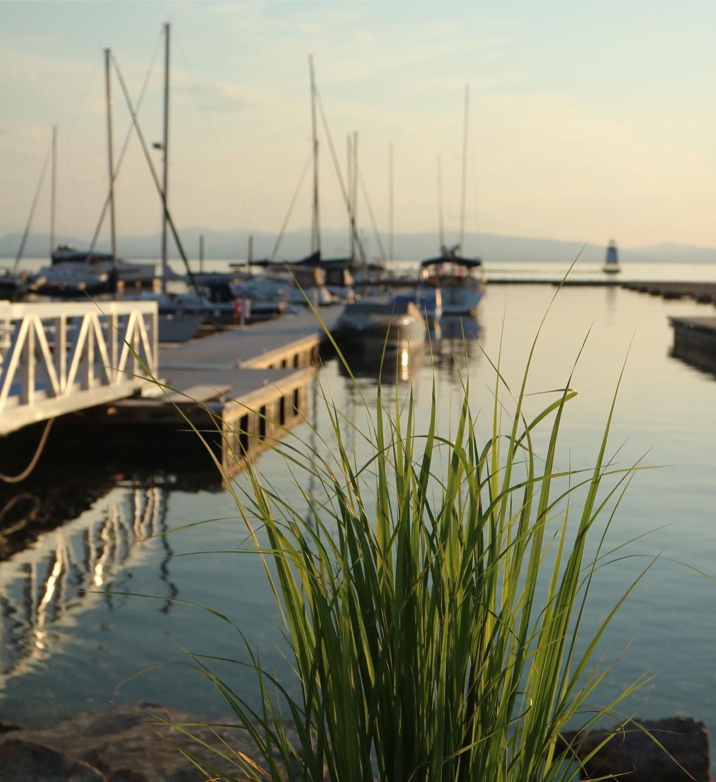 Sailboats moored at a marina dock in soft evening light, with grass in the foreground and a small lighthouse in the distance
