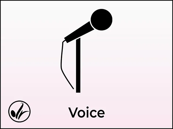 Voice Lessons