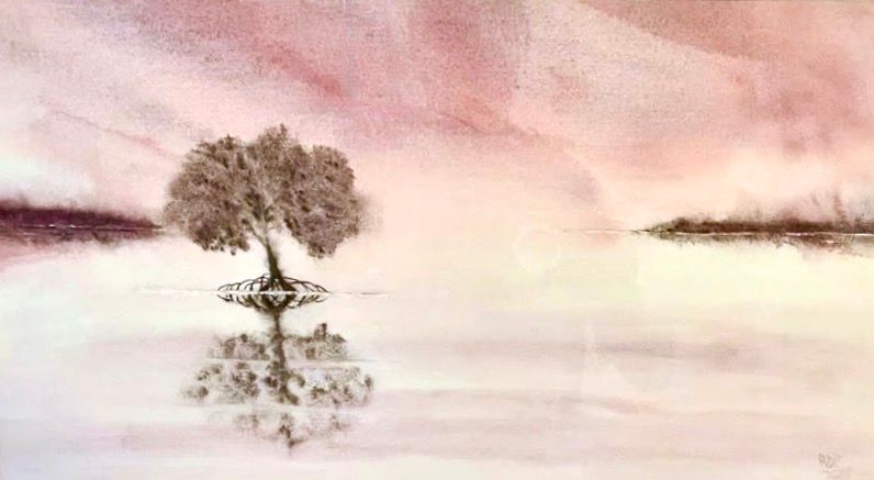 Tree with roots in water, reflecting in the serene pink and gray landscape.