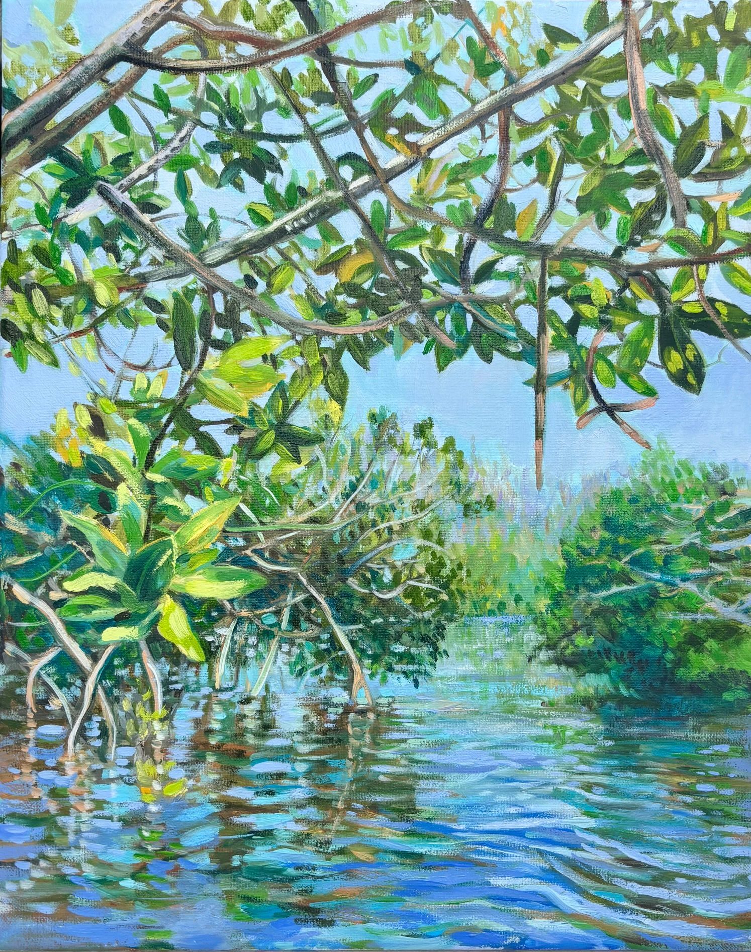 Mangroves in various stages of growth.