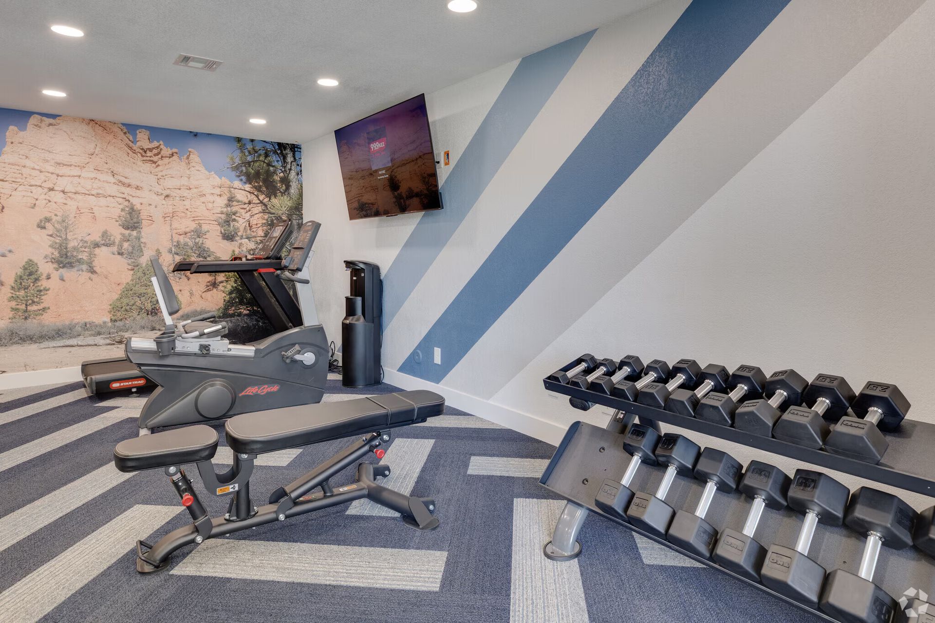 Modern gym with bench, dumbbells, treadmill, blue-striped walls, and mural accent.