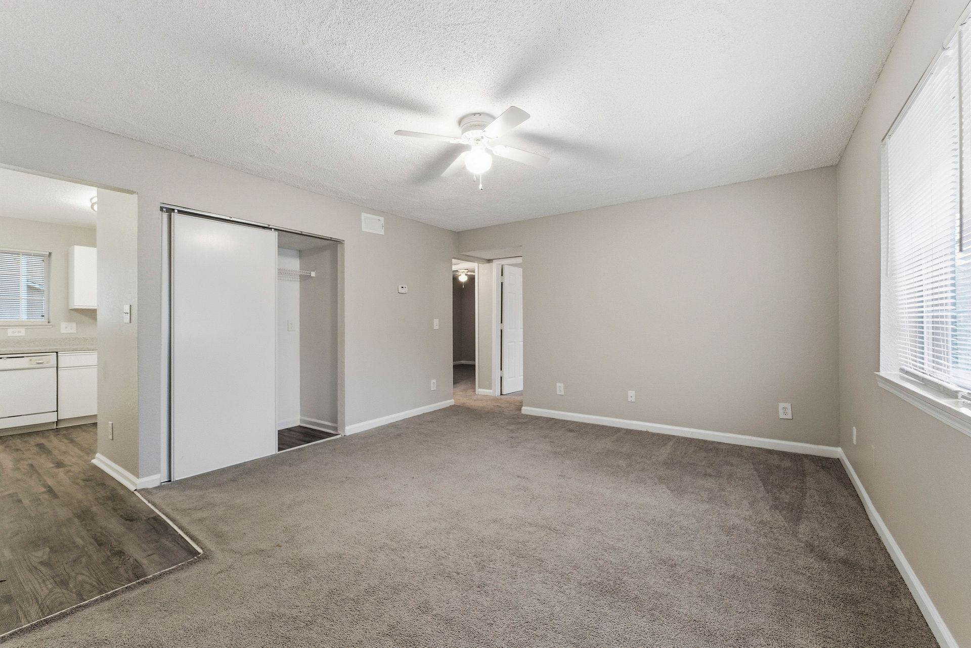 Empty carpeted bedroom with light gray walls, ceiling fan, closet doors, and a window with blinds.