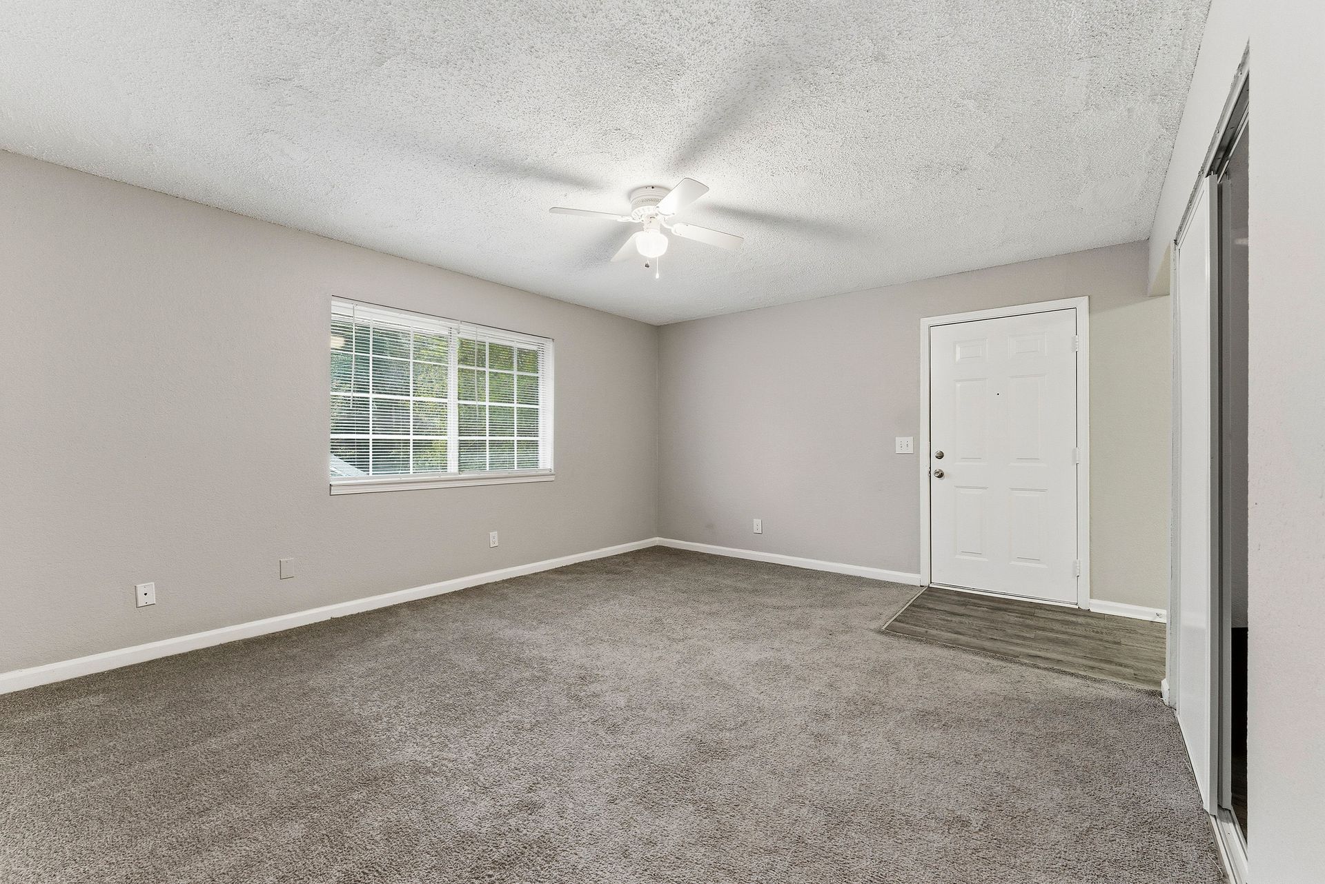 Empty carpeted living room with gray walls, ceiling fan, window, and white front door